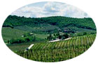 Farmhouse in Chianti