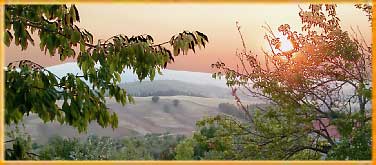 Bed and breakfast in Siena countryside
