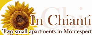 In Chianti - Two small apartments in Montespertoli, Chianti, Tuscany