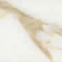 Calacatta marble