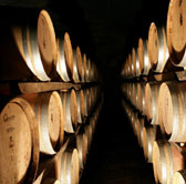 Classico  - 8 days of wine and culture