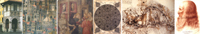 Museo del Bigallo - Florence: Leonardo da Vinci