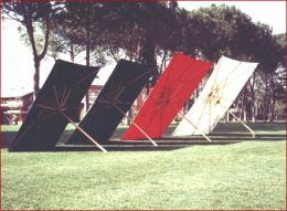 Grandi ombrelloni per esterni